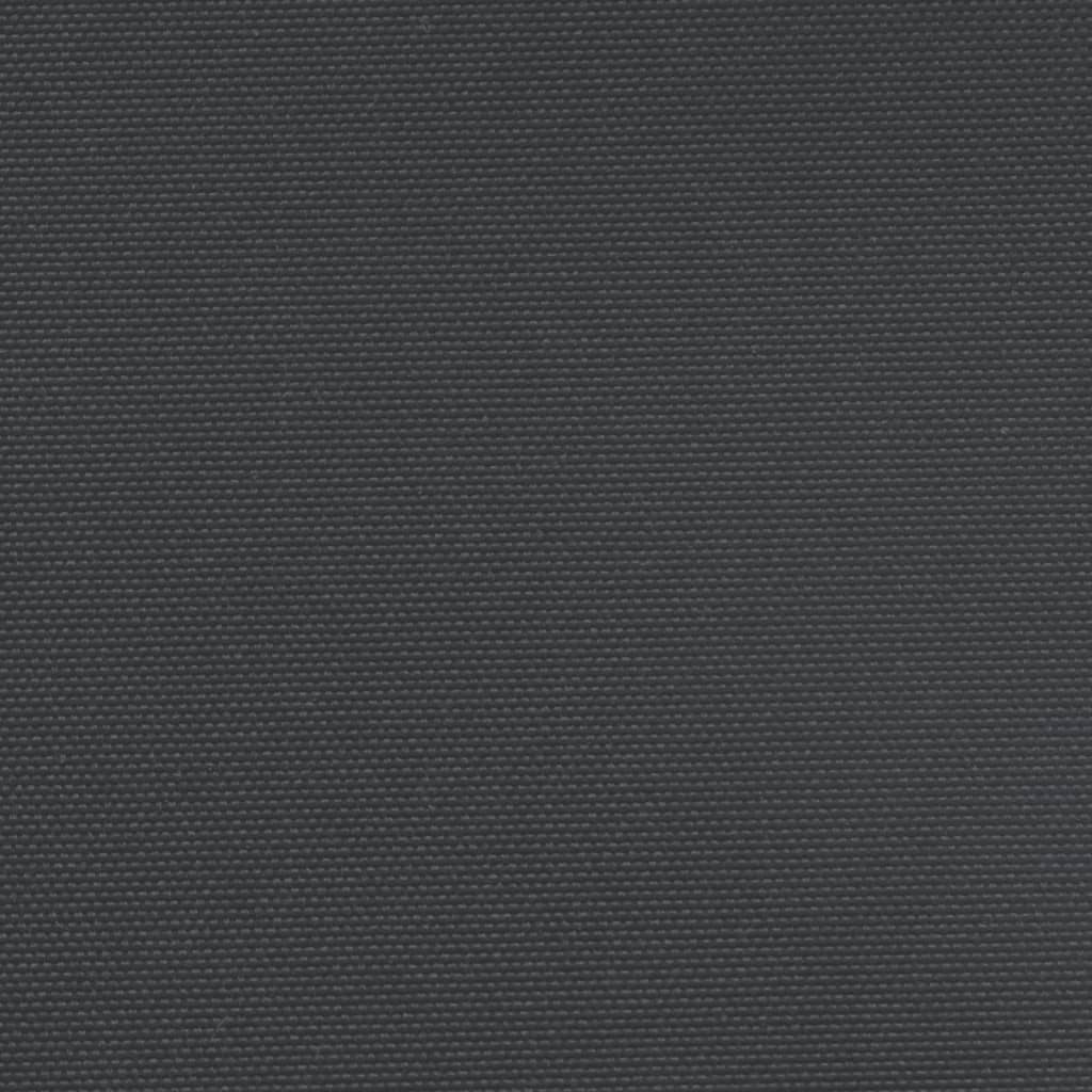 Seitenmarkise Ausziehbar Schwarz 200x1200 cm
